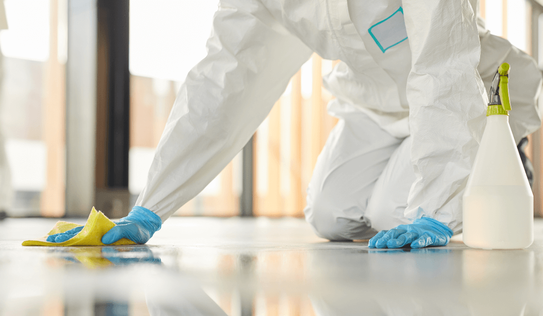 Indoor Air Quality Concerns: How A Professional Cleaner Can Benefit You