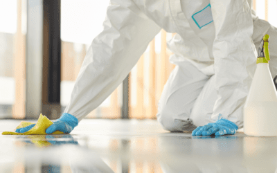 Indoor Air Quality Concerns: How A Professional Cleaner Can Benefit You